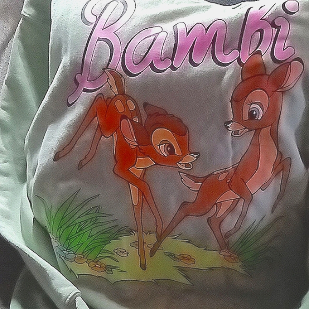 Disney Bambi Graphic Sweatshirt -Light Green, Size Medium Adult